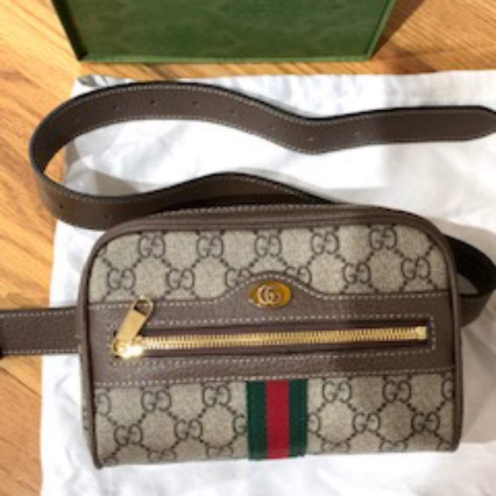 Gucci Ophidia Belt Bag